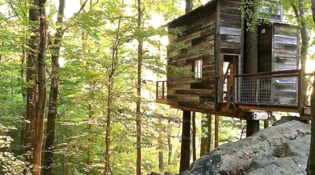 Treetop Hideaways: Luna Loft