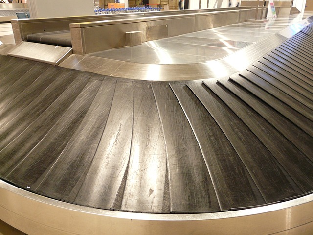 Baggage loss