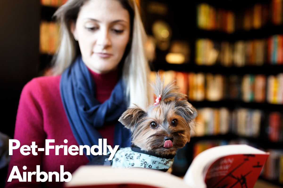 Pet-Friendly Airbnb In North Carolina